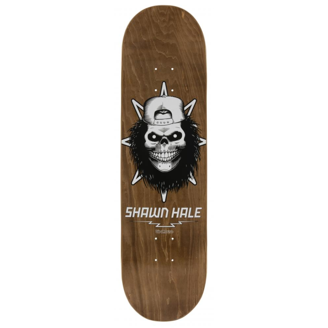 Birdhouse Pro Deck (UK) Hale Skull Brown 8.5 IN