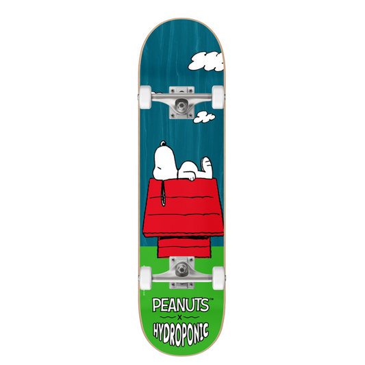 Complete Skate PEANUTS House Green