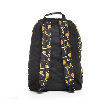Backpack BG BACKPACK DRAGON BALL Z Black Dragon Balls