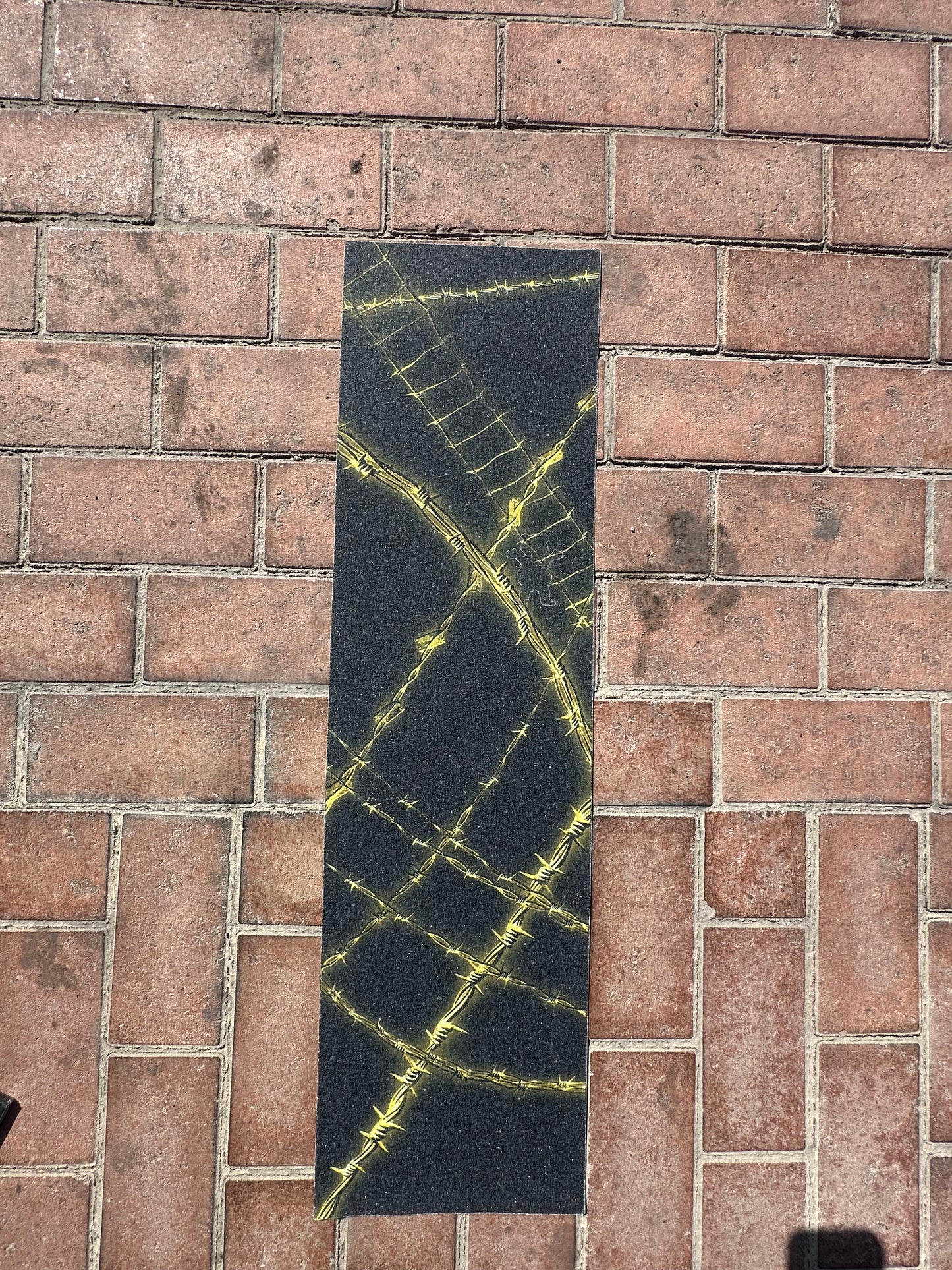 HYDROPONIC “SHENRON” SETUP