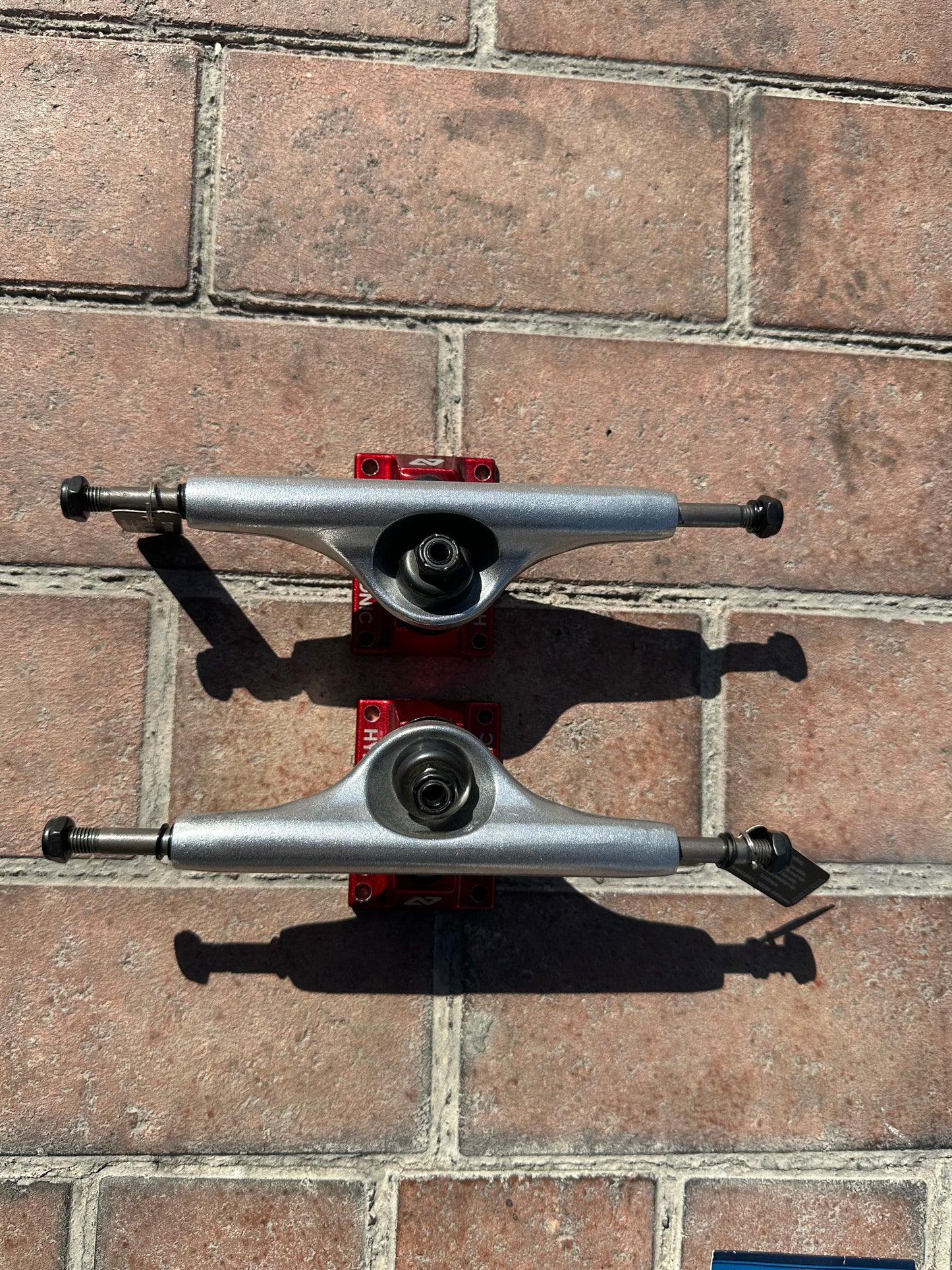 HYDROPONIC “SHENRON” SETUP