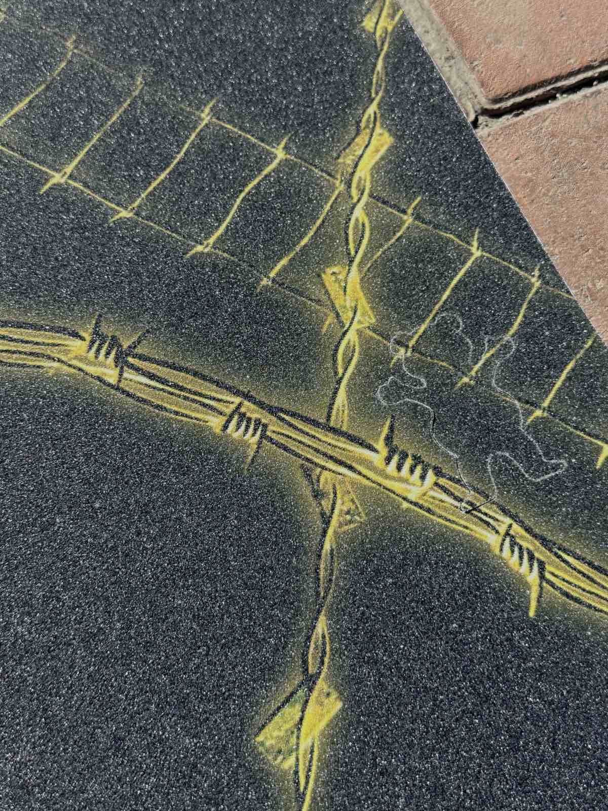 HYDROPONIC “SHENRON” SETUP